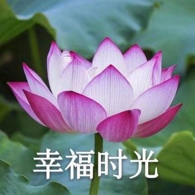 台湾“中油”大贪官在台东落网